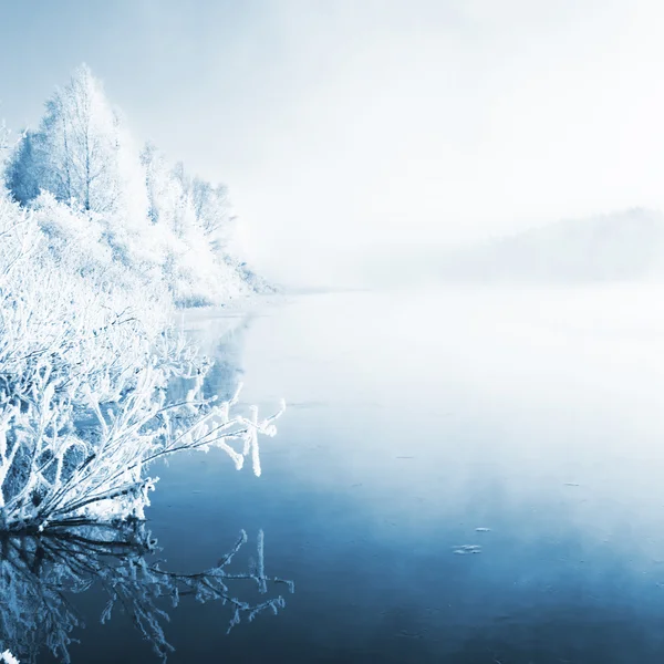 Vinterlandskap, fångade i Finland Royaltyfria Stockfoton