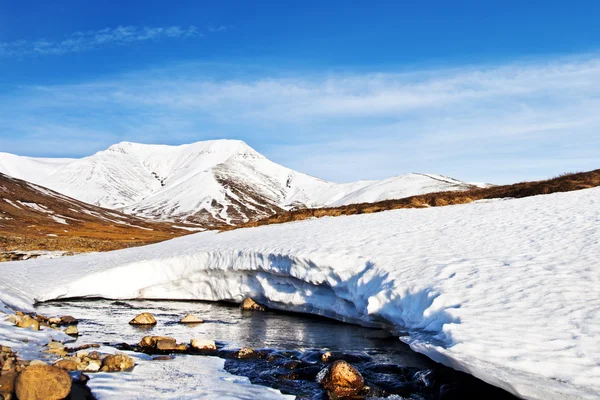 Isländska fjordar landskap — Stockfoto