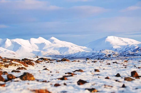 Inverno paesaggio autunnale dall'Islanda — Foto Stock