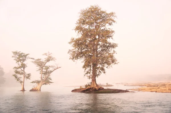 Mistige rivierlandschap bij zonsondergang — Stockfoto