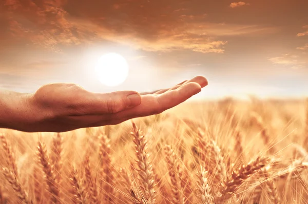 Woman holding the sun — Stock Photo, Image