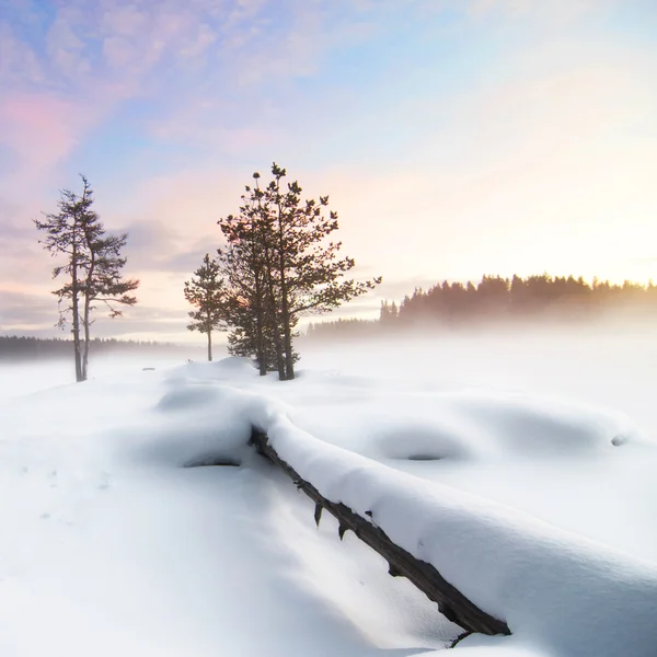 Paisaje invernal —  Fotos de Stock