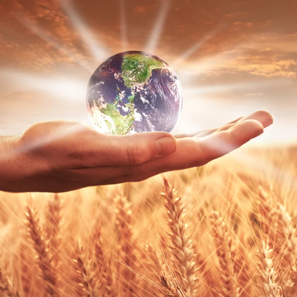 Woman holding the earth globe — Stock Photo, Image