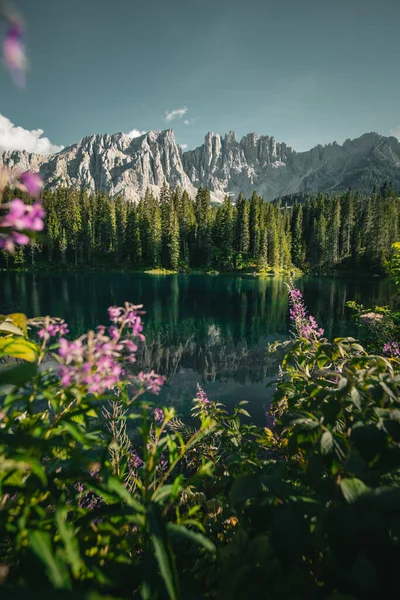 Göl ve dağların önündeki çiçekler.
