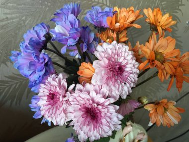 Her zaman heyecan verici bir hediye ol.