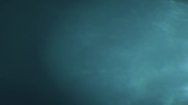 Doğal tam çerçeve optik ışık sızıntısı etkisi, kromatik aberasyon, siyah üzerinde örtüşme etkisi.