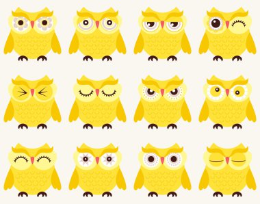 Sorunsuz baykuşlar kuşlar desen