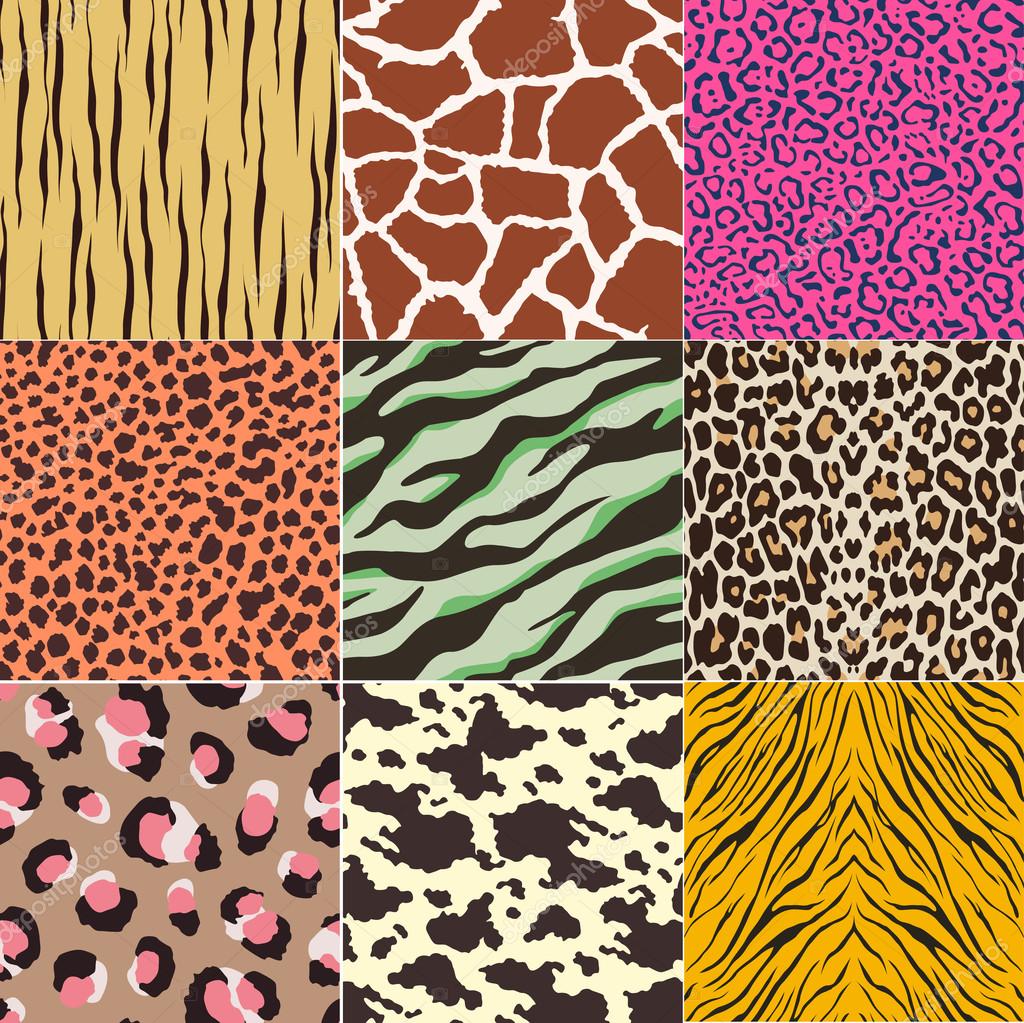 Animal print patterns Stock Vector by ©kidstudio852 59328489