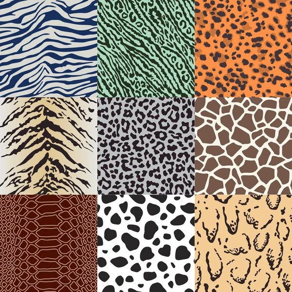 Wild animal skins background — Stock Vector