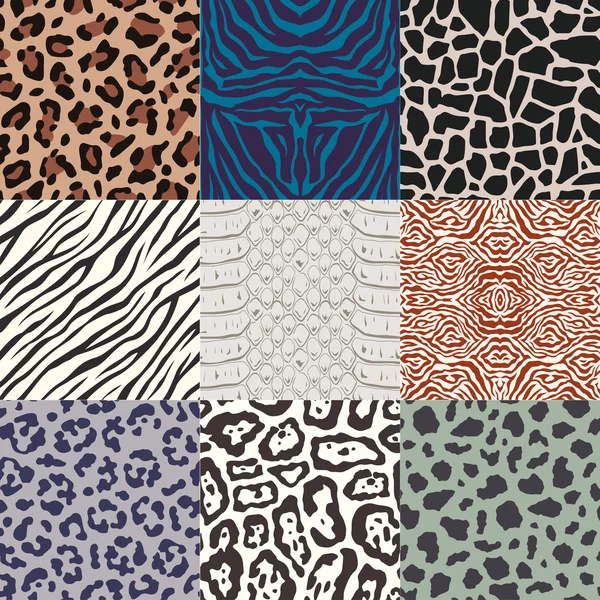 Animal print pattern — Stock Vector