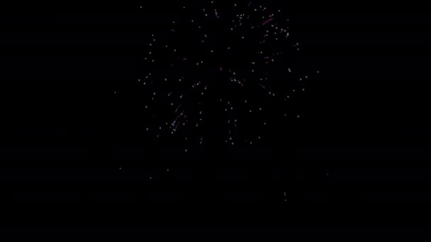 Fireworks Show Black Background Abstract Design Blue Red Golden Shining — Vídeo de Stock