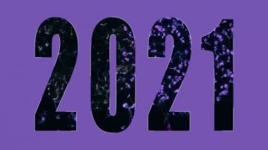 2021 Yeni Yıl Kutlaması 4K animasyonu. Parçacıklarla soyut sayısal havai fişek hareketi arka planı. Yılbaşı kartı..
