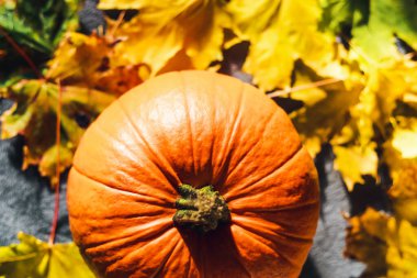 Sonbahar yapraklarında balkabağı