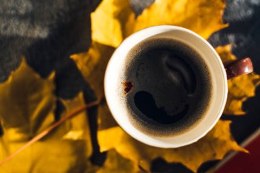 Bir fincan kahve ve sonbahar yaprakları.