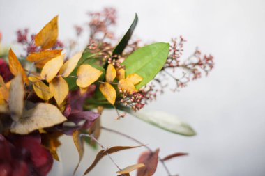 Beyaz arkaplanda kış kompozisyonu