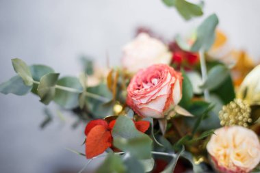 Beyaz arkaplanda kış kompozisyonu