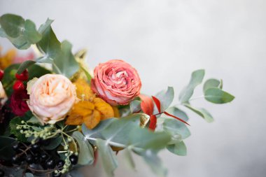 Beyaz arkaplanda kış kompozisyonu