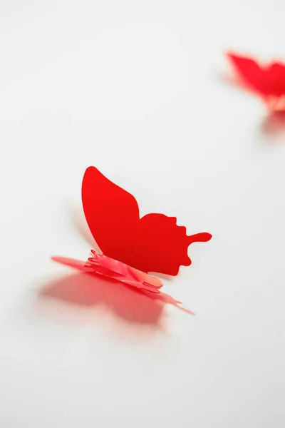 白い背景に赤い蝶 — ストック写真