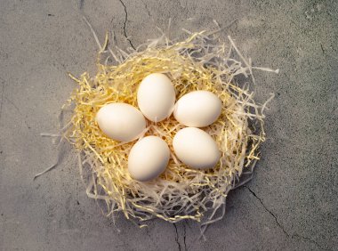 Yapay Yuvadaki Beyaz Yumurtalar beton zemin üzerinde. Organik ve Sentetik nesnelerin işbirliği. Eşleşen Konsept.