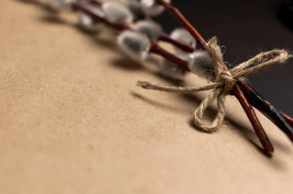 Rope Tied Willow Twigs Selective Focus Brown Paper Backdrop Copy — 图库照片