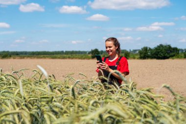 Güneşli yaz gününde tarım alanında akıllı telefon kullanan kadın çiftçi.