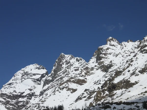 Alpine blidvädret. Röda toppar på våren — Stockfoto