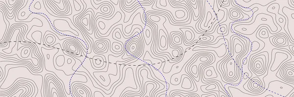 Retro Topografische Kaart Geografische Contourkaart Samenvattend Schema — Stockvector