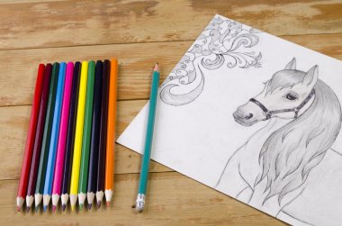 bir kalemle çizilmiş at