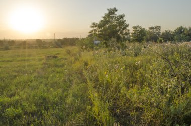 gündoğumu şehir arkasında alanındaki