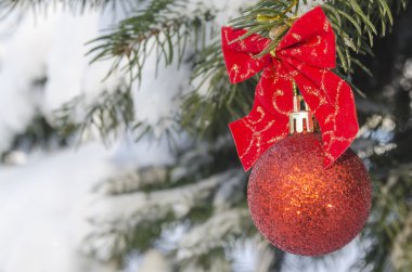 Yeni yıl akşam bir oyuncakla köknar ağacı dalı