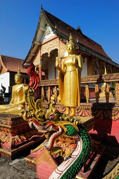 美丽的神庙在老挝万象省万荣. — 图库照片