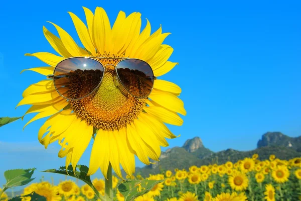 Smiley Girasol con gafas de sol — Foto de Stock