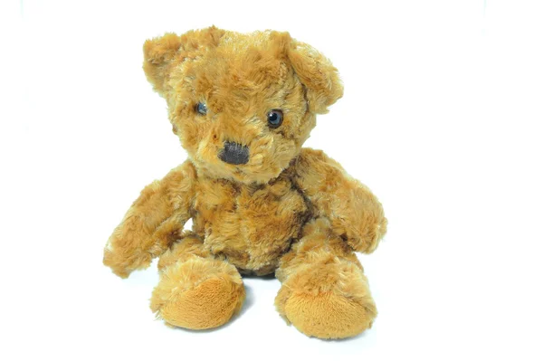 Teddy bear — Stock Photo, Image