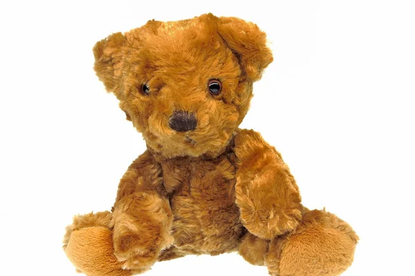 Teddy bear — Stockfoto