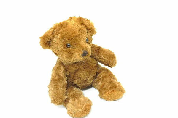 Teddy bear — Stock Photo, Image