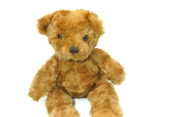 Brown teddy — Stock Photo, Image