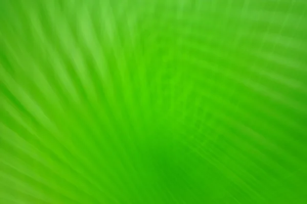 Nature Abstract blur background — Stock Photo, Image