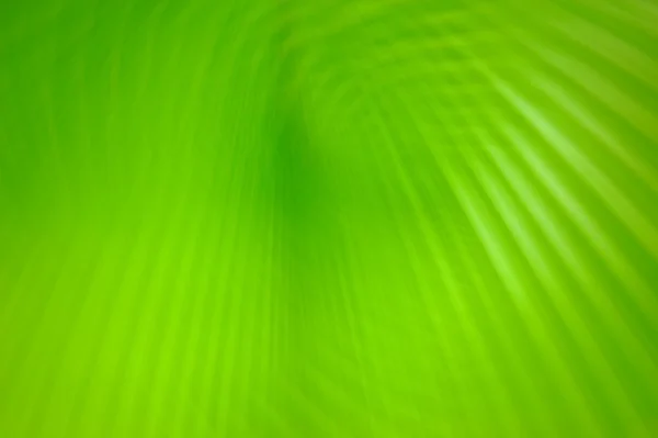 Nature Abstract blur background — Stock Photo, Image