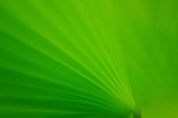 Nature Abstract blur background — Stock Photo, Image