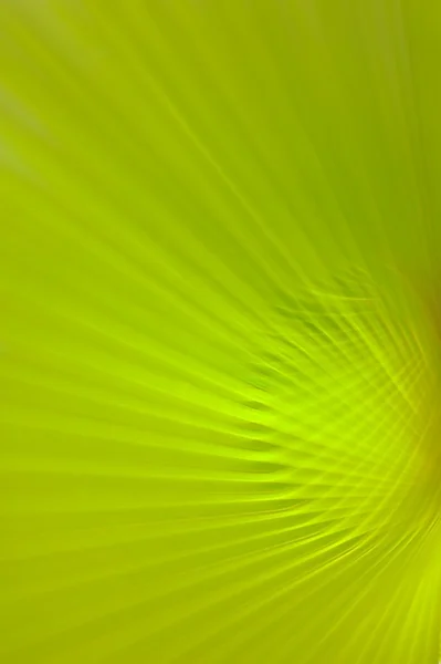 Nature Abstract blur background — Stock Photo, Image