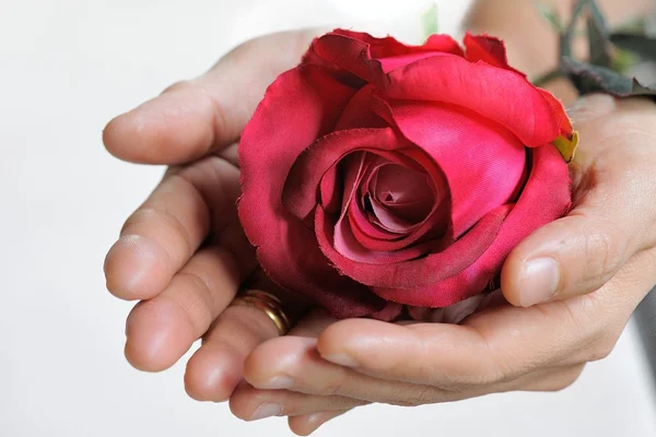 Rosas para o dia dos namorados — Fotografia de Stock