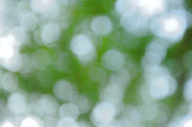 Bokeh yeşil doğa arka plan