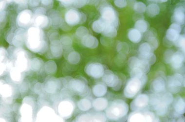 Bokeh yeşil doğa arka plan