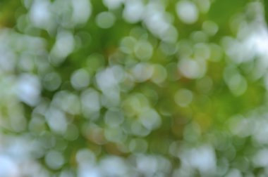 Bokeh yeşil doğa arka plan