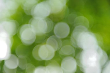 Bokeh yeşil doğa arka plan