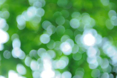 Bokeh yeşil doğa arka plan