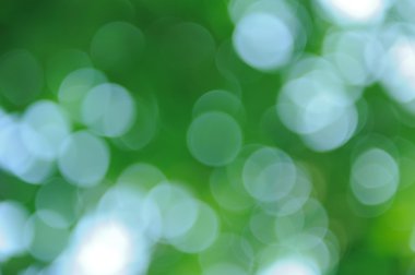 Bokeh yeşil doğa arka plan