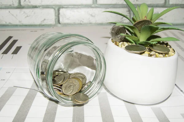 Growing plants in savings coins, a flower pot with aloe and a glass jar with coins - an investment-interest concept