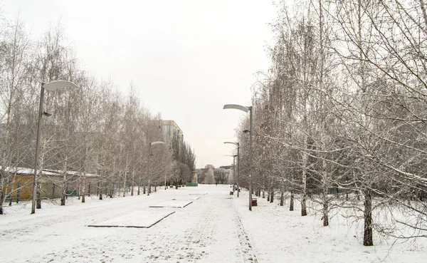 Winter city landscape with trees along the pedestrian path and lanterns, winter cloudy day — Stock Photo, Image