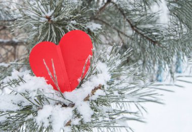 Kırmızı kalpli çam dalı Noel süslemesi ya da Sevgililer Günü için, açık havada